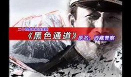 西藏警察爆料案件视频,视频揭露惊人真相