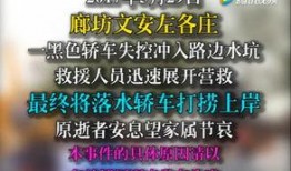 文安网友爆料视频下载大全,精彩瞬间一网打尽