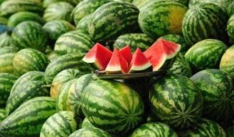 礼县网红吃瓜事件真相是真的吗,真相揭秘，还原事件始末